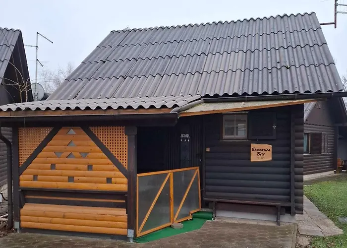 Brunarica Beti Chalet Brezice